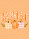 Watercolor Harvest design with orange gingham lettering above cream, orange, and pink checked pumpkins with leafy sprigs