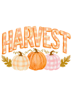 Harvest Gingham Pumpkins Watercolor PNG Design