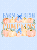 Watercolor Farm Fresh Pumpkins lettering design with peach and cream pumpkins, blue gingham bows, and soft green leaves.